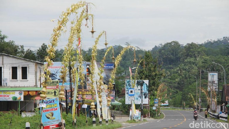 Ribuan Janur Kuning Hiasi Jalanan di Banjarnegara, Ada Apa?