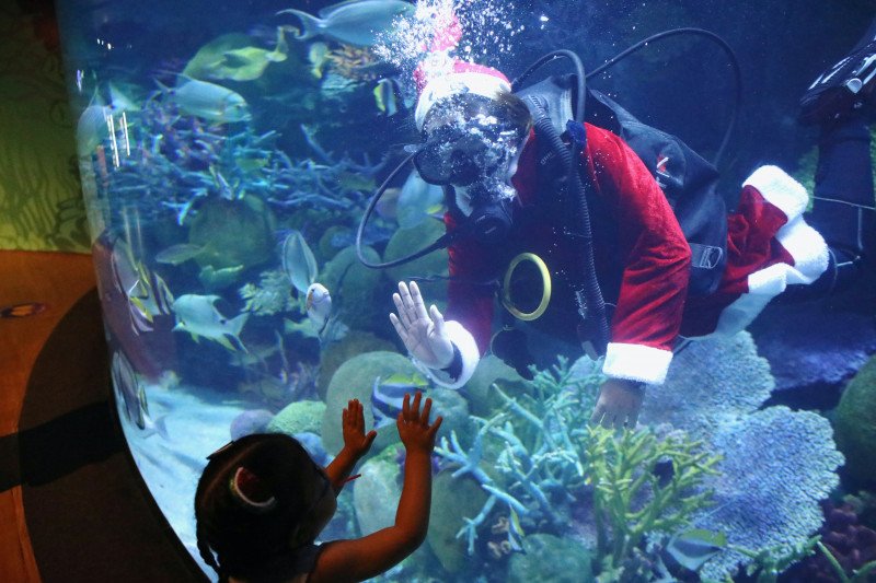 Kejutan, Sinterklas berkunjung sembari menyelam di akuarium Thailand