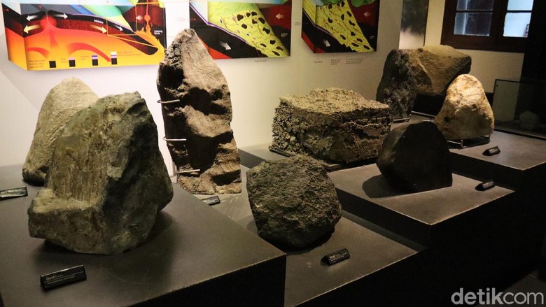 Koleksi Berharga Museum Geologi Bandung