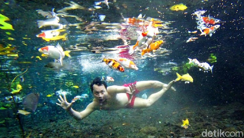 Asyik! Di Pemandian Ini Bisa Selfie Under Water Bareng Ikan